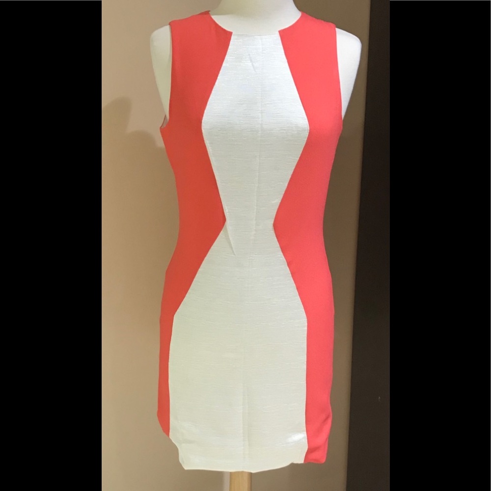 ARYN K Dress.
